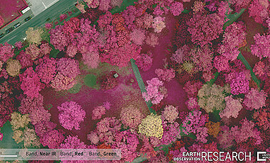 Multispectral image of the Ringpark at Sanderring. The data can be used, for example, to determine the vitality or water stress of individual trees.