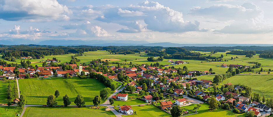 D&ouml;rfer sind als Lebensraum f&uuml;r best&auml;ubende Insekten noch wenig erforscht - dabei bieten sie viel Potenzial. 