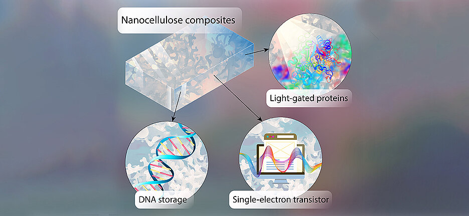 Information can be stored in the form of DNA on chips made of semiconducting nanocellulose. Light-controlled proteins read the information.