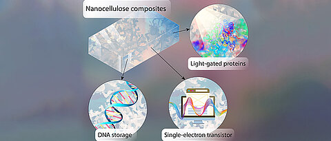 Auf Chips aus halbleitender Nanocellulose lassen sich Informationen in Form von DNA speichern. Lichtgesteuerte Proteine lesen die Informationen ab.