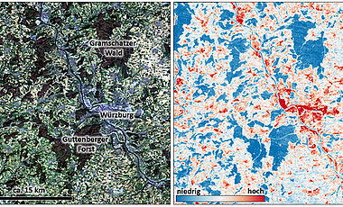 Um den Bodenwasserhaushalt in unterfränkischen Wäldern zu ermitteln, ziehen die Wissenschaftler verschiedene Datenquellen heran. Diese Abbildung zeigt die starke Fragmentierung der Landschaft um Würzburg (links) und die durchschnittliche Temperatur der Landoberfläche (rechts), wobei die Waldflächen deutlich kühler sind.