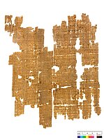Hier sieht man die hellbraune Rückseite des Sosylus, De Hannibale IV Papyrus