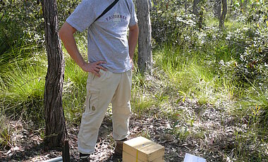 Benjamin Kaluza im Wald