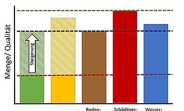 Eine Grafik, die zeigt, wie Ressourcen und ökologische Prozesse gemeinsam den Ertrag begrenzen. (Bild: Sarah Redlich)