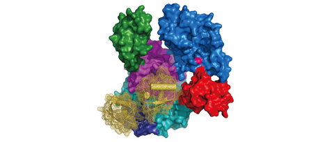 Image: Structure of UBA6