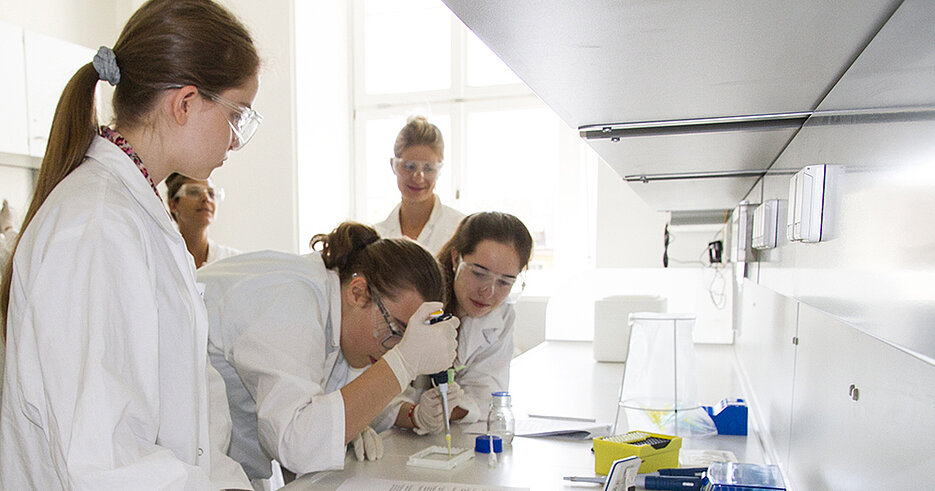 pupil at school laboratory 