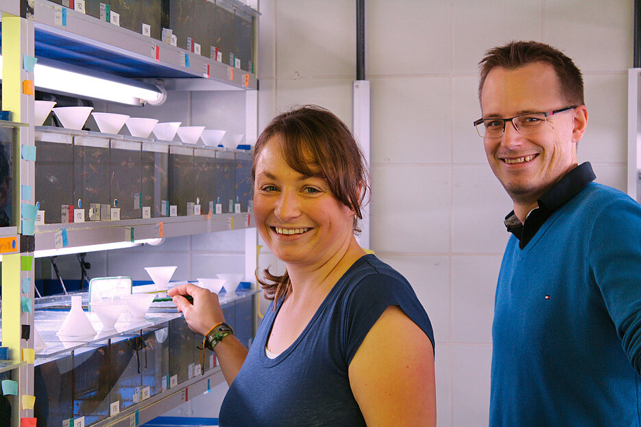 Stephanie Graser und Daniel Liedtke vor Aquarien mit Zebrafischen. (Foto: Julia Kühl)
