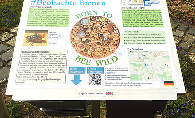 Auf Info-Tafeln erfahren Interessierte mehr über das Leben der Wildbienen.