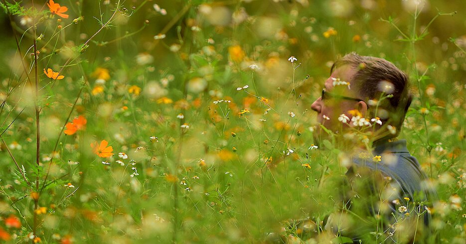 Prof. Igor Pottosin auf einer Wiese beim Schmetterlinge erkunden, Foto: Dr. Miguel Olivas 