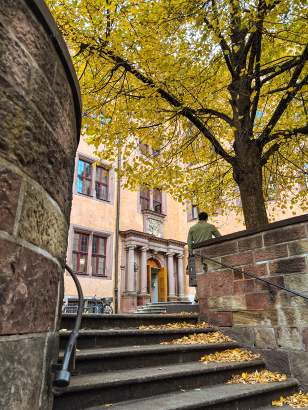 Weg zur Alten Universität im Herbst. Bild: Fabio König
