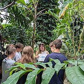 Die Studentin erarbeitet mit den Schüler:innen das tropische Klima im Regenwald.