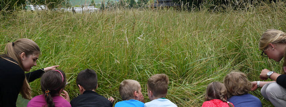 Studentinnen zeigen Kindern, was es Spannendes in der Wiese zu entdecken gibt.