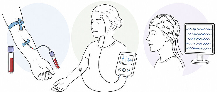 Zum Untersuchungsumfang der Studie gehören eine Blutentnahme, eine Stimulation schmerzleitender Nervenfasern und ein EEG.