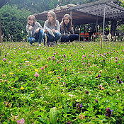 Drei Schülerinnen sitzen in der Hocke auf einer Wiese mit Klee und Spitzwegerich und beobachten die Insekten