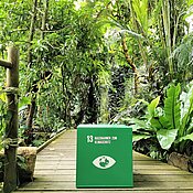 Der Schutz tropischer Ökosysteme ist eng verknüpft mit Maßnahmen zum Klimaschutz. Das Foto zeigt einen Würfel mit dem Symbol für das Nachhaltigkeitsziel 13, Maßnahmen zum Klimaschutz, im Tropengewächshaus des Botanischen Gartens.