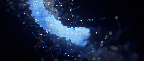 Im Single-Cell Center – hier das Key Visual der Einrichtung – wird daran gearbeitet, Krankheiten besser zu verstehen und effizienter zu behandeln.