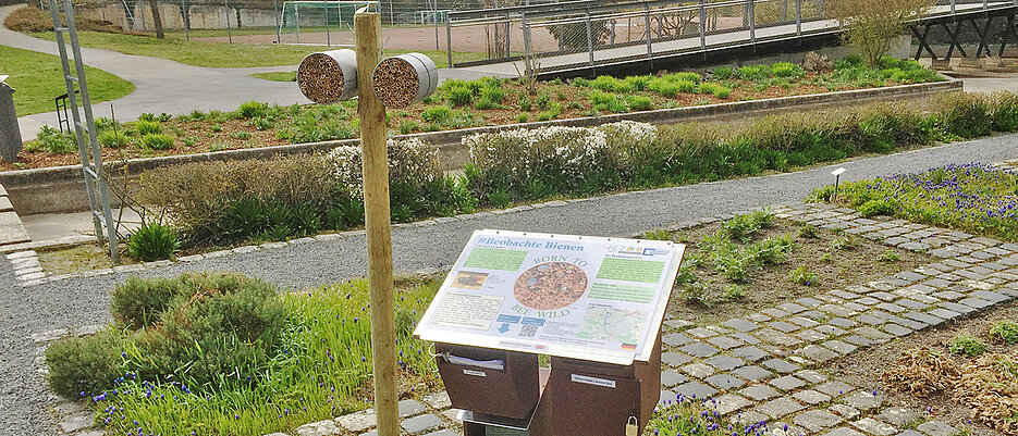 241 Bienen- und 57 Wespennester haben sich an den sechs Standorten in der Stadt eingenistet. Hier zu sehen ist die Nisthilfe samt Infotafel auf dem Gelände der alten Landesgartenschau. 