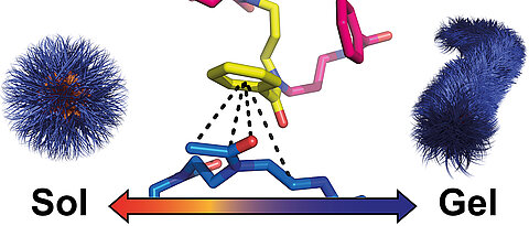 Specific interactions cause spherical nanoparticles of polymers to rearrange themselves into worm-like structures during cooling. The resulting hydrogel dissolves again when heated.