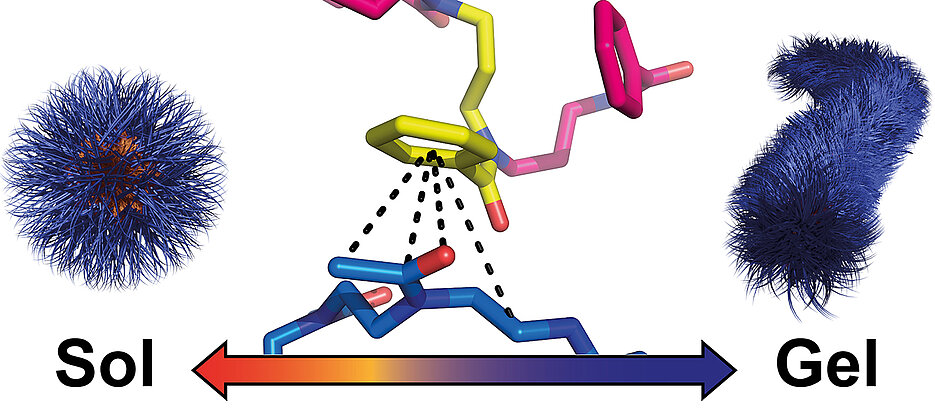 Specific interactions cause spherical nanoparticles of polymers to rearrange themselves into worm-like structures during cooling. The resulting hydrogel dissolves again when heated.