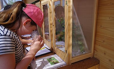 Schulkinder erlernen und üben das genaue Beobachten und Hinschauen.