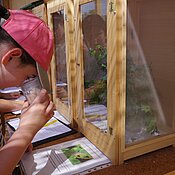 Schulkinder erlernen und üben das genaue Beobachten und Hinschauen.