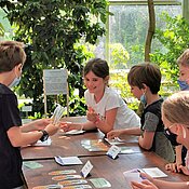 Das Foto zeigt Schüler:innen einer Grundschule im Nutzpflanzenhaus des Botanischen Gartens, wo sie sich bei einem Workshop spielerisch mit dem Ananashandel auseinandersetzen.