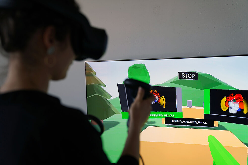 Frau mit VR-Brille spielt ein Zuordnungsspiel