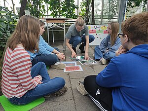 Eine Studentin vergleicht mit den Schüler:innen die Anbaumethoden der Misch- und Monokultur. 