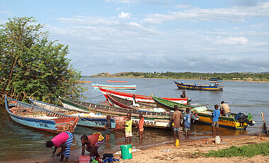 Auf der großen Insel Ukerewe werden zentrale  Projekte des neuen Zentrums zur Bekämpfung der Tropenkrankheit  Schistosomiasis durchgeführt.
