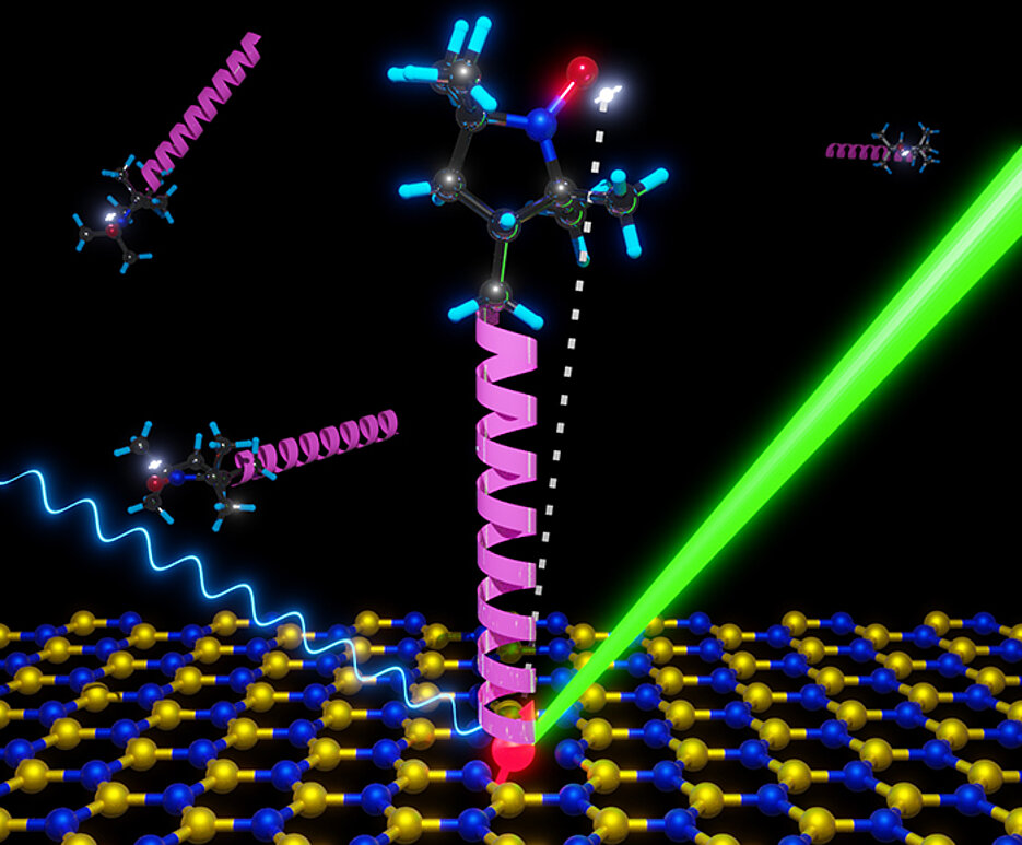 Schematic of a quantum sensor in which a biomolecule (pink) is anchored to a surface of hexagonal boron nitride on which the spin defect (red) is located. The latter operates as a sensitive probe for the environment.