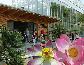 Die Pflanzenbörse im Botanischen Garten der Uni Würzburg ist bei Jung und Alt beliebt: Von Orchideen über Kakteen bis hin zu fleischfressenden Pflanzen kann alles gekauft werden. Dazu gibt es Informationen von Fachleuten. (Foto: Botanischer Garten)