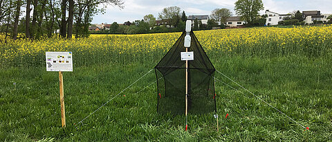 Malaise-Fallen eignen sich hervorragend zum Sammeln einer Vielzahl von Insekten in verschiedenen Lebensräumen.