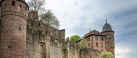 Zu den neu ausgestellten Motiven der Fotoschau am Uniklinikum Würzburg gehört diese Ansicht der Burg Wertheim.