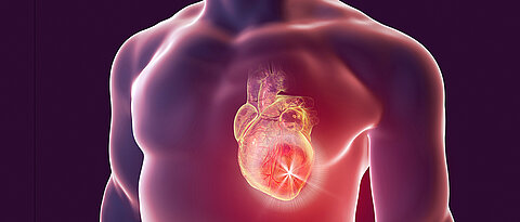 Grafik: Männlicher Oberkörper mit Blick auf das Herz. (Thinstock/Dr_Microbe)