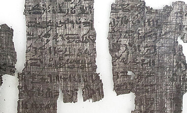 Ausschnitt des karbonisierten Papyrus aus Tanis.