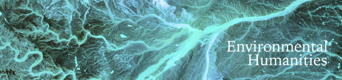 Abstract blue-green image of a river delta from above with the Environmental Humanities logo in the bottom right hand corner.