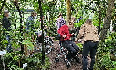 Studierende laufen mit Rollator, Rollstuhl und Gehhilfen durch ein Gewächshaus des Botanischen Gartens.