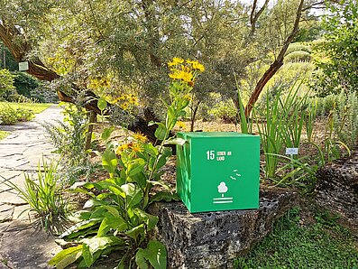 Im Themenschwerpunkt Biodiversität widmen wir uns vor allem den Landökosystemen. Dafür steht das Ziel Nr. 15, Leben an Land, der UN-Nachhaltigkeitsagenda. Das Foto zeigt einen Würfel mit dem Symbol für dieses Ziel im Botanischen Garten.