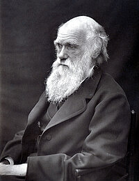 Charles Darwin, vermutlich im Jahr 1874, fotografiert von Leonard Darwin. (Nachdruck mit freundlicher Erlaubnis von John van Wyhe ed., The Complete Work of Charles Darwin Online, http://darwin-online.org.uk/) Charles Darwin