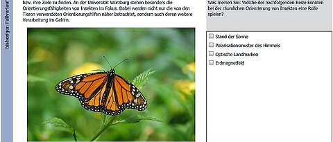 Screenshot Online-Selbsttest für Bilogie der Uni Würzburg