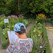 Ein Schüler beschäftigt sich mit der Form, dem Duft und der Farbe einer Blüte.