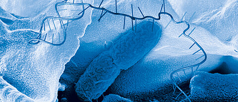 Ein schematisch dargestelltes RNA-Molekül und ein Salmonella-Bakterium in einer elektronenmikroskopischen Aufnahme. 