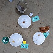 Drei Schalen mit verschiedenen Plätzchen und daneben verschiedene Gewürze.