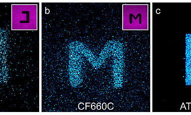 Confocal fluorescence images of glass surfaces coated with the cyanine dyes Alexa Fluor 647 (a) and CF660C (b) and with carborhodamine dye ATTO647N (c) after light excitation at 568 nanometres (nm). By exciting the red-absorbing dyes at 640 nm in certain areas (negative images top right), dyes are photoconverted there and it is possible to write letters on the surface that were excited at 568 nm and fluoresce at about 580 nm. The carborhodamine dye shows more efficient photobluing than the cyanine dyes.
