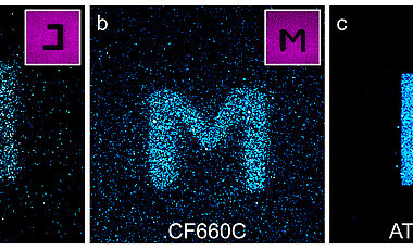 Konfokale Fluoreszenzbilder von Glasoberflächen, die mit den Cyaninfarbstoffen Alexa Fluor 647 (a) und CF660C (b) sowie mit Carborhodaminfarbstoff ATTO647N (c) beschichtet wurden, nach Lichtanregung bei 568 Nanometer (nm). Durch Anregung der rot-absorbierenden Farbstoffe bei 640 nm in bestimmten Bereichen (Negativbilder rechts oben) werden dort Farbstoffe photokonvertiert und es gelingt, Buchstaben auf die Oberfläche zu schreiben, die bei 568 nm angeregt wurden und bei etwa 580 nm fluoreszieren. Der Carborhodaminfarbstoff zeigt ein effizienteres Photobluing als die Cyaninfarbstoffe.