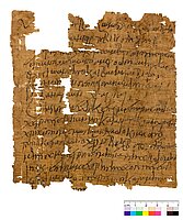Hier sieht man die Vorderseite des mittelbraunen Papyrus. 