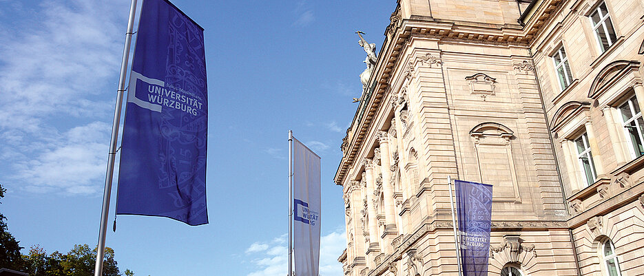 Flags in front of the so called New University