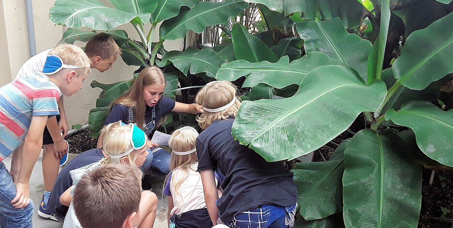 Eine Studentin untersucht mit Schüler:innen eine Bananenstaude im Gewächshaus.