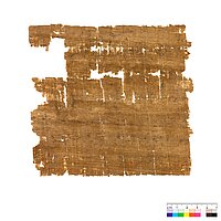 Hier sieht man die Rückseite des mittelbraunen Papyrus. 
