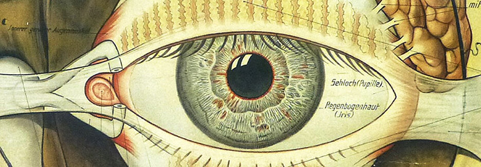 Schutzvorrichtungen am Auge sind auf diesem Schulwandbild aus dem Jahr 1916 gezeigt (Ausschnitt). Das Sehen steht auch im Mittelpunkt des neuen Würzburger Forschungskonsortiums „Insight“. (Bild: Verlag Rudolf Schick & Co., Leipzig)